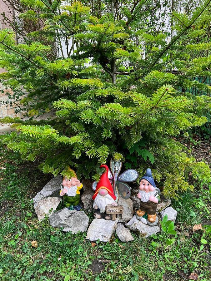 Tuendererdo Villa Miskolc Bagian luar foto